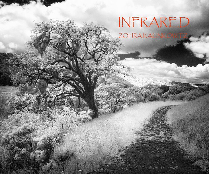 View Infrared by Zohra Kalinkowitz