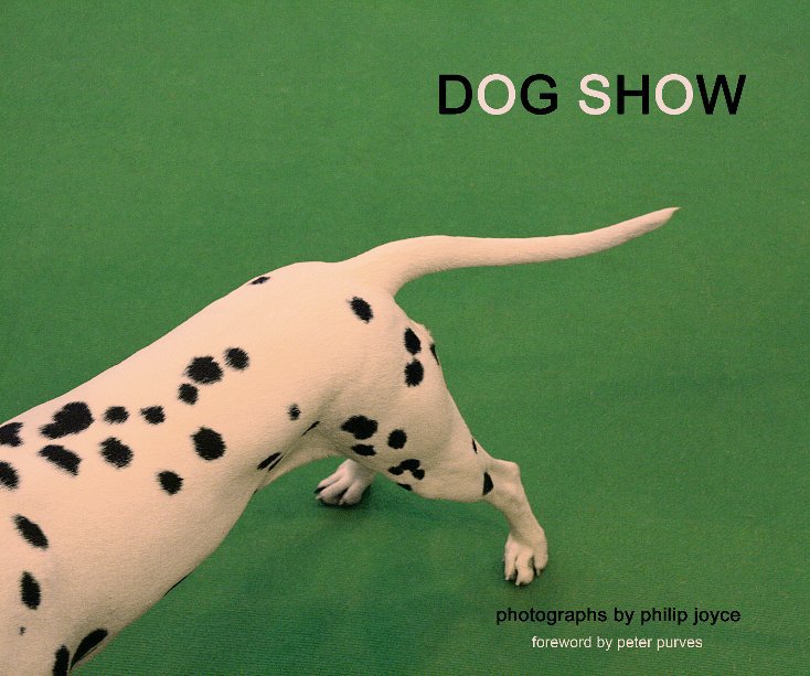 View Dog Show by Philip Joyce