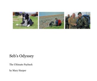 Seb's Odyssey book cover