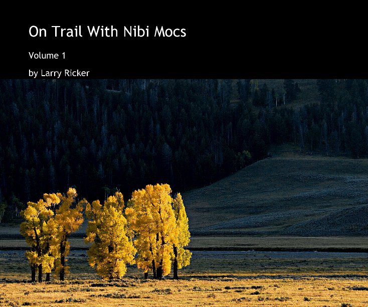 View On Trail With Nibi Mocs by Larry Ricker