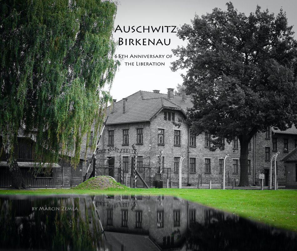 View Auschwitz Birkenau 65th Anniversary of the Liberation by Marcin Zemla