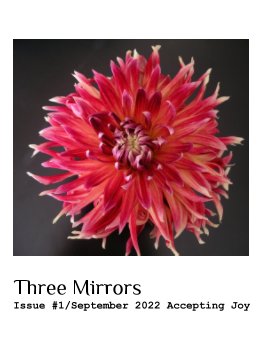 Three Mirrors Volume 1 book cover