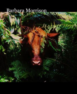 Barbara Morrison book cover