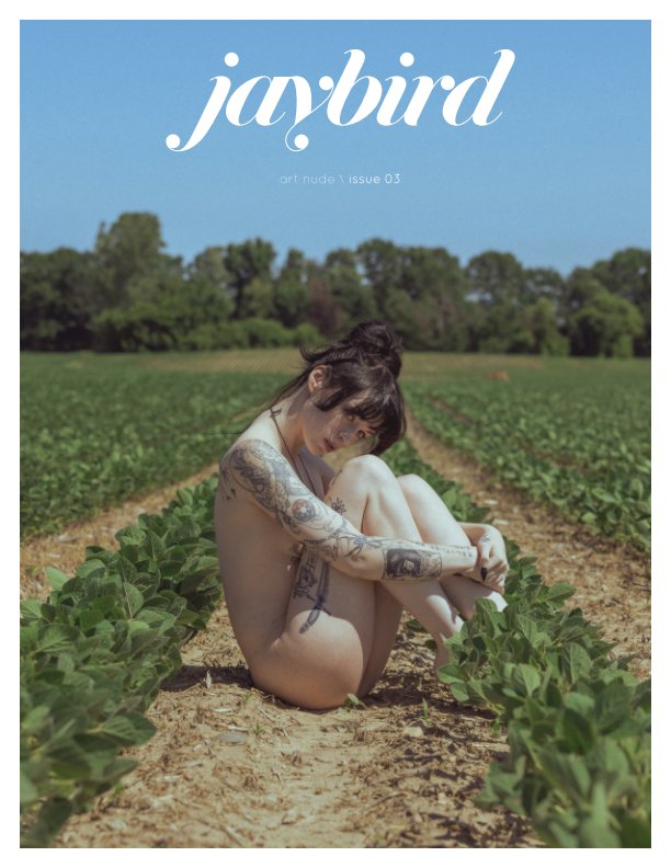 View Jaybird issue 03 by Sean Forsythe