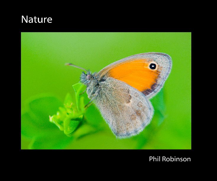 View Nature by Phil Robinson
