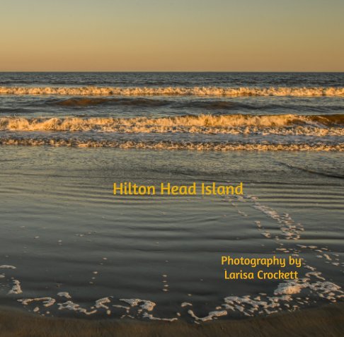 View Hilton Head Island by Larisa Crockett