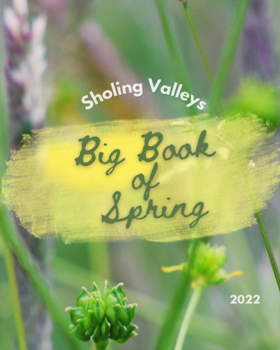 View Sholing Valleys Big Book of Spring 2022 by Sholing Valleys Study Centre