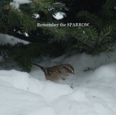Remember the SPARROW book cover