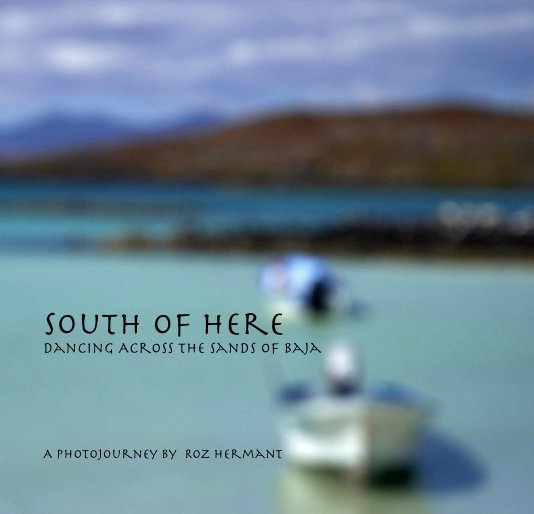 View South of Here by Roz Hermant