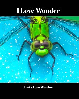 I Love Wonder book cover