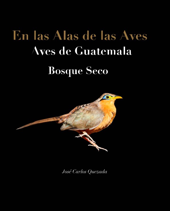 Ver En las Alas De Las Aves
Aves de Guatemala
Bosque Seco por José Carlos Quezada