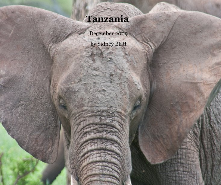 View Tanzania by Sidney Blatt
