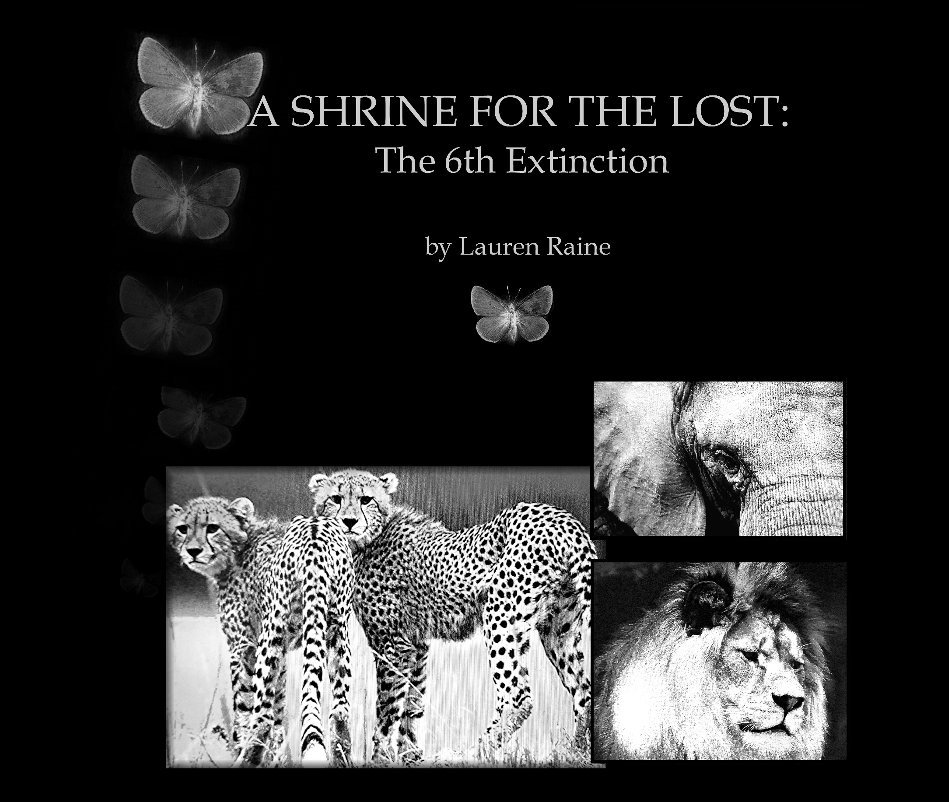 View A Shrine for the Lost by Lauren Raine MFA