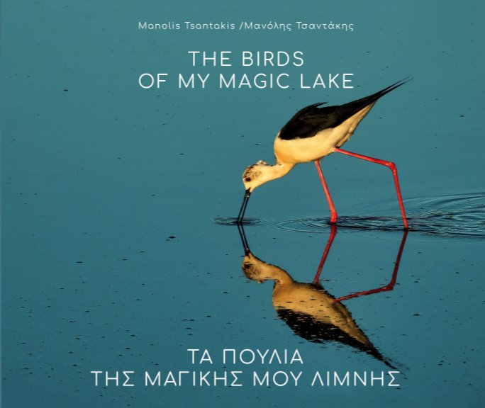 View The birds of the magic lake by Manolis Tsantakis