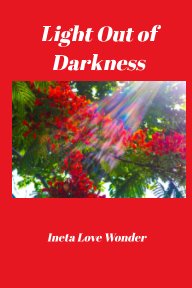 Light Out of Darkness book cover