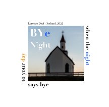BYe Night book cover