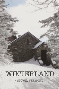 Winterland book cover
