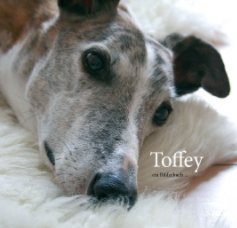 Toffey book cover