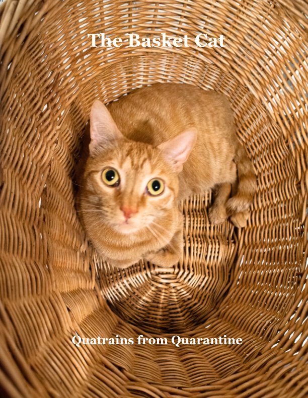 View The Basket Cat by Katherine Barrett Swett