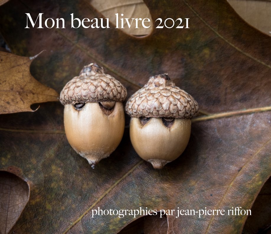 View Mon beau livre 2021 by jean-pierre riffon