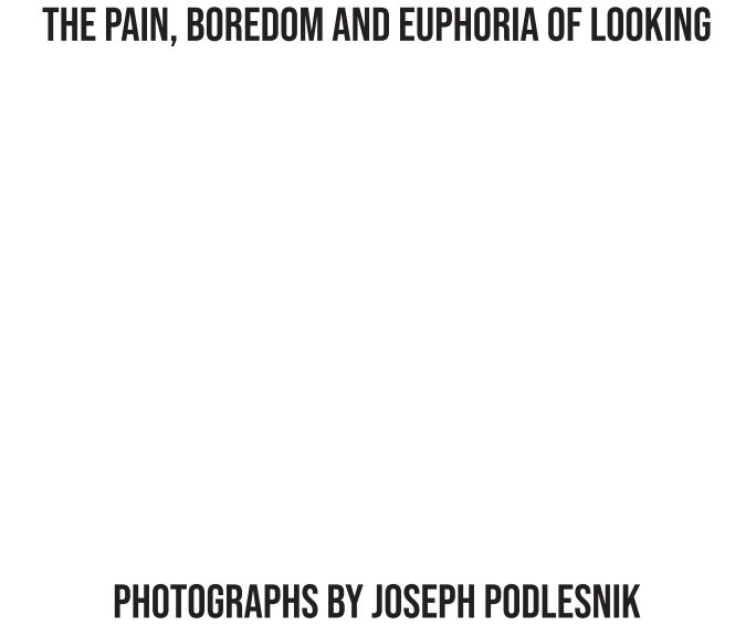 View The Pain, Boredom and Euphoria of Looking by Joseph Podlesnik