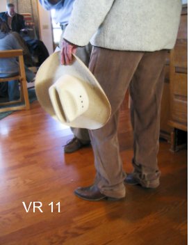 vr 11 book cover