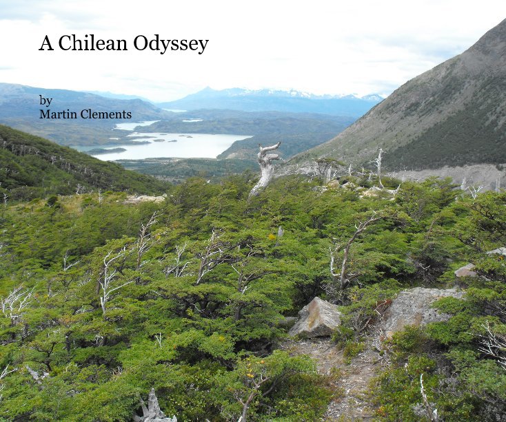 View A Chilean Odyssey by Martin Clements