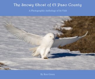 The Snowy Ghost of El Paso County book cover
