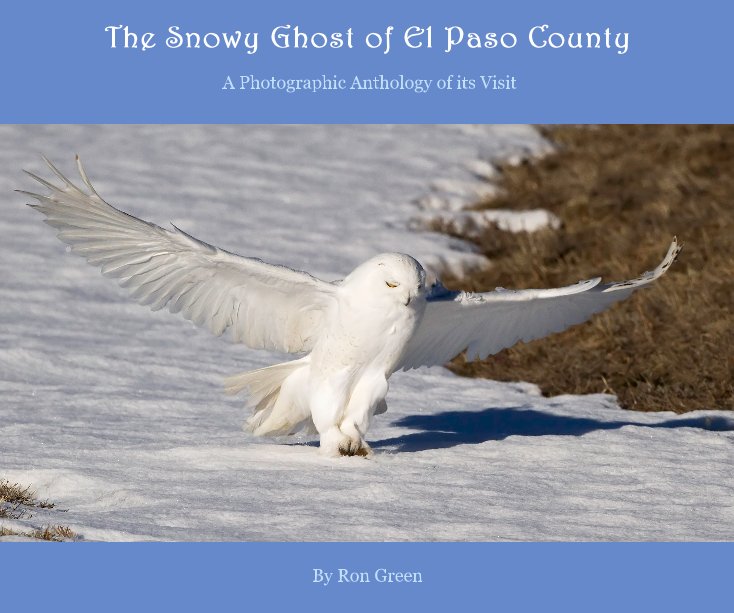 View The Snowy Ghost of El Paso County by Ron Green