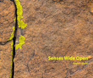 Senses Wide Open book cover
