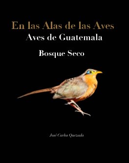 En las Alas De Las Aves
Aves de Guatemala
Bosque Seco book cover