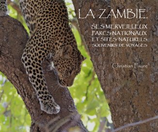 La Zambie book cover
