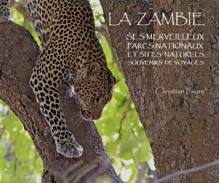 View La Zambie by Christian Faure
