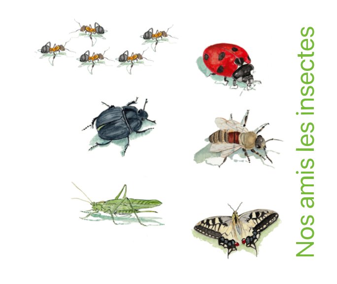 View Les insectes by Françoise Raymond