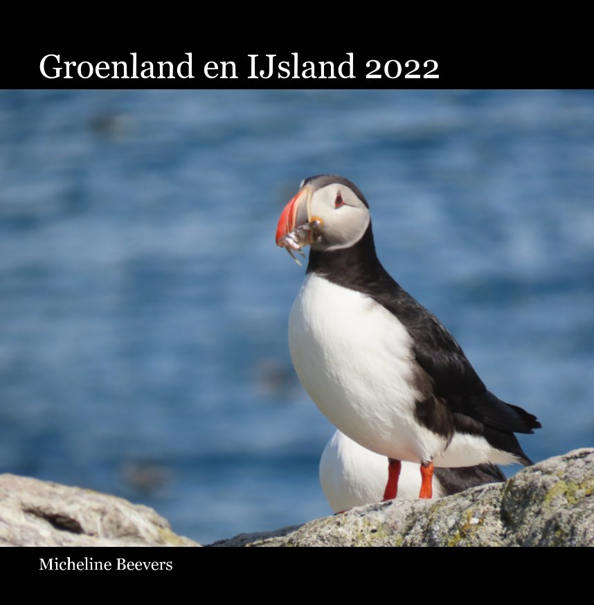 View Groenland en IJsland by Micheline Beevers