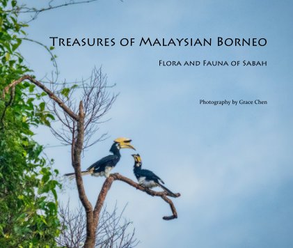 Treasures of Malaysian Borneo book cover
