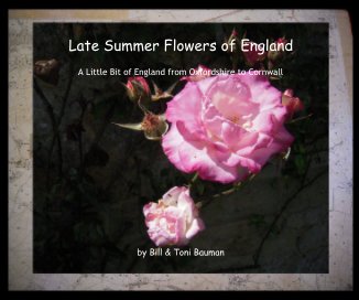 Late Summer Flowers of England book cover