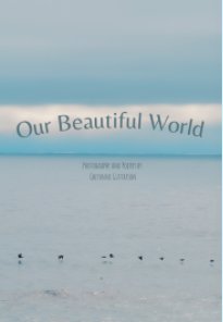 Our Beautiful World book cover