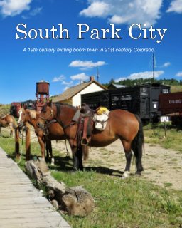 South Park City book cover