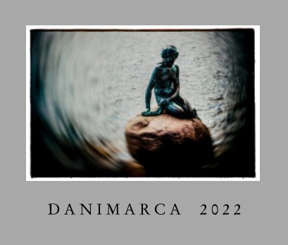 danimarca book cover