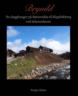 BRYNILD fra slagghauger på Rørosvidda til klippfiskberg ved Atlanterhavet book cover