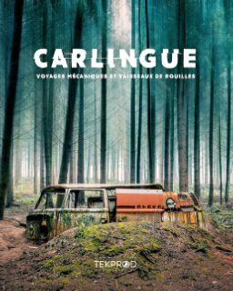 Carlingue book cover