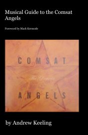 Musical Guide to the Comsat Angels book cover