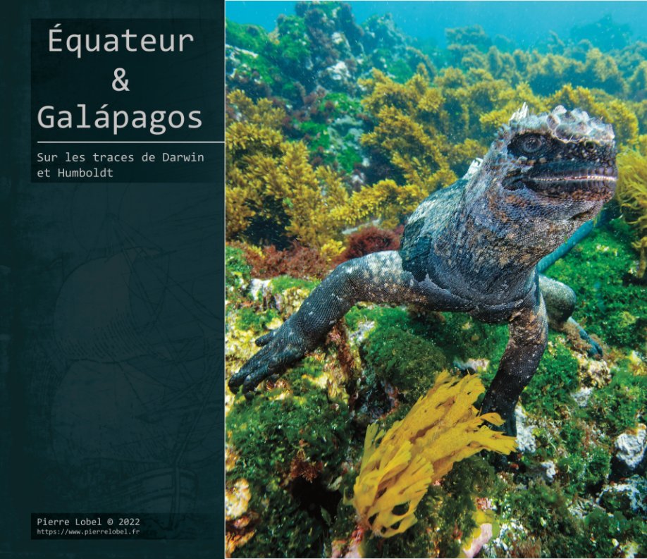 View Sur les traces de Darwin et Humboldt by Pierre Lobel