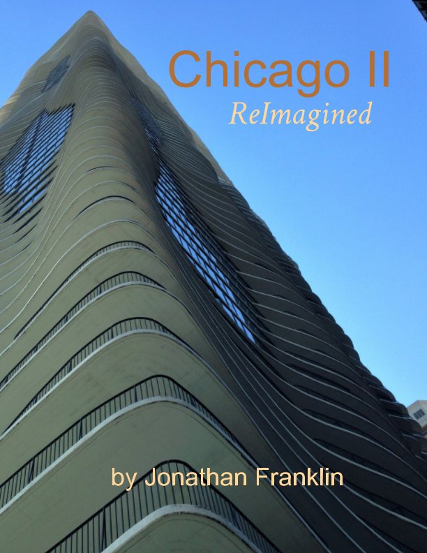 View Chicago II by Jonathan Franklin