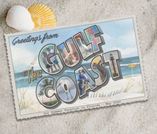Greetings from the Gulf Coast book cover