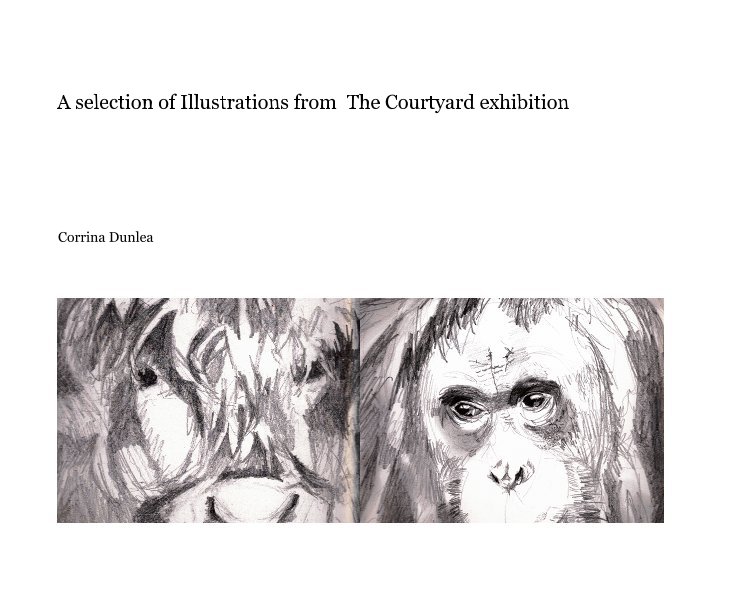 View A selection of Illustrations from The Courtyard exhibition by Corrina Dunlea