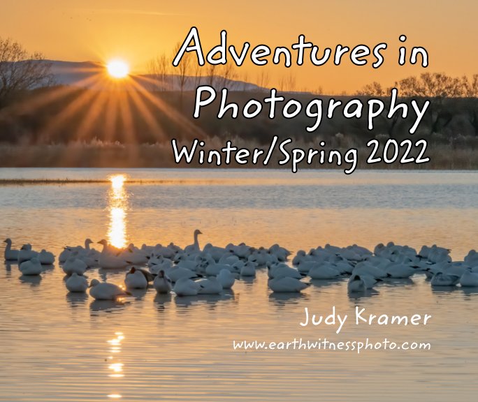 View Adventures in Photography by Judy Kramer