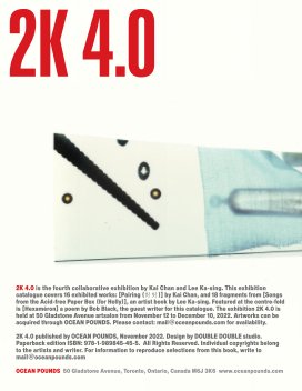 2k 4.0 book cover