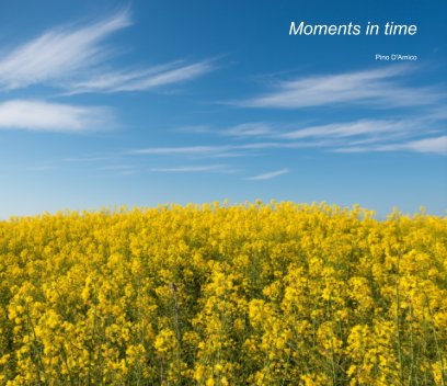 Moments in time book cover